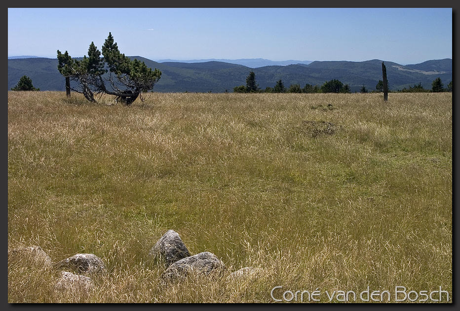 wallpaper, bergen, mountains