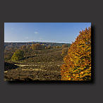 autumn photo