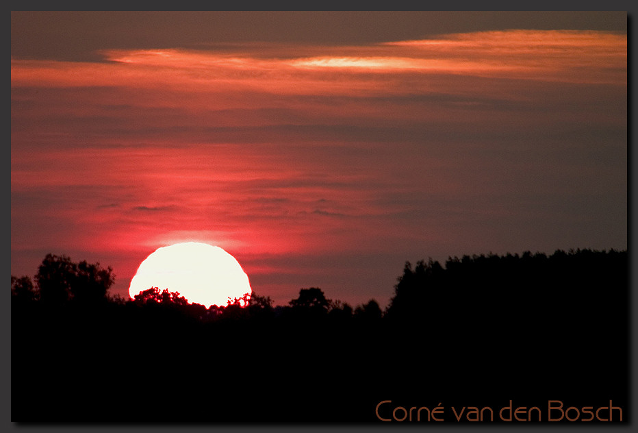 wallpaper, rode zon, red sun