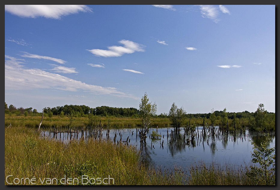 breedbeeld wallpaper, veen, veenlandschap, moor