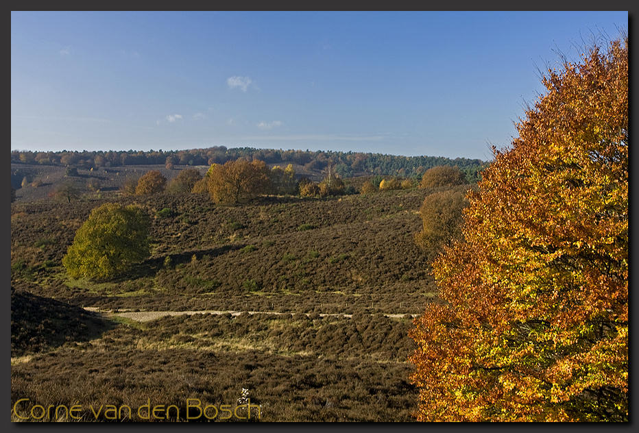 breedbeeld wallpaper, herfstlandschap, autumn landscape