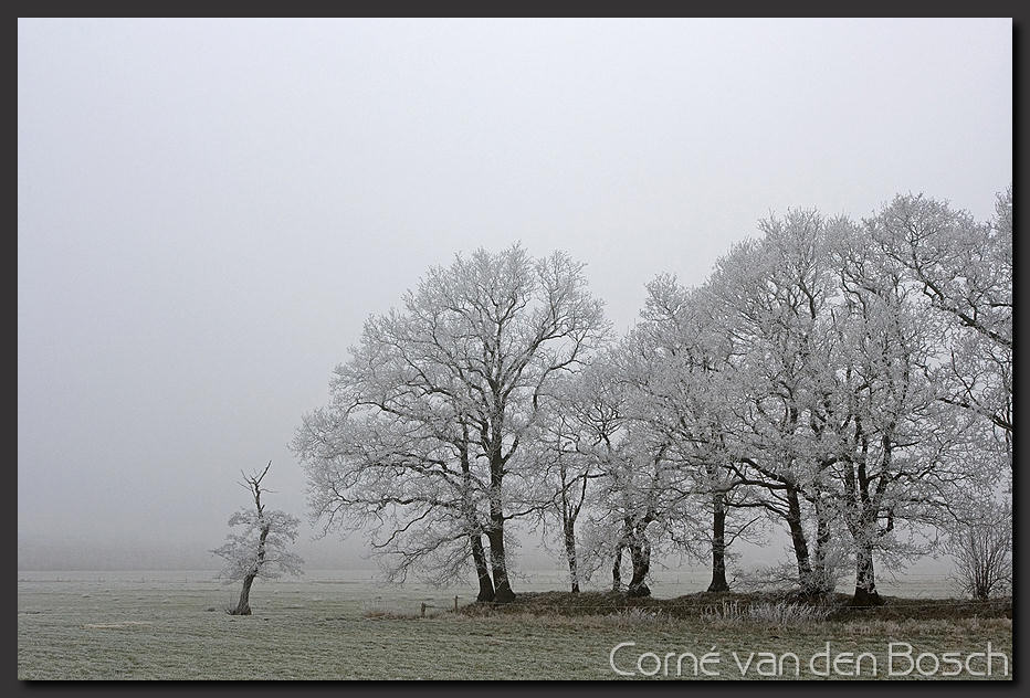 breedbeeld wallpaper, winterlandschap, winter landscape