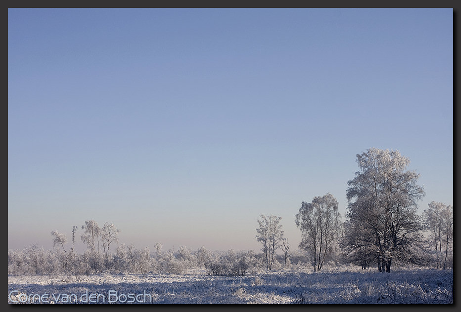foto van winters landschap